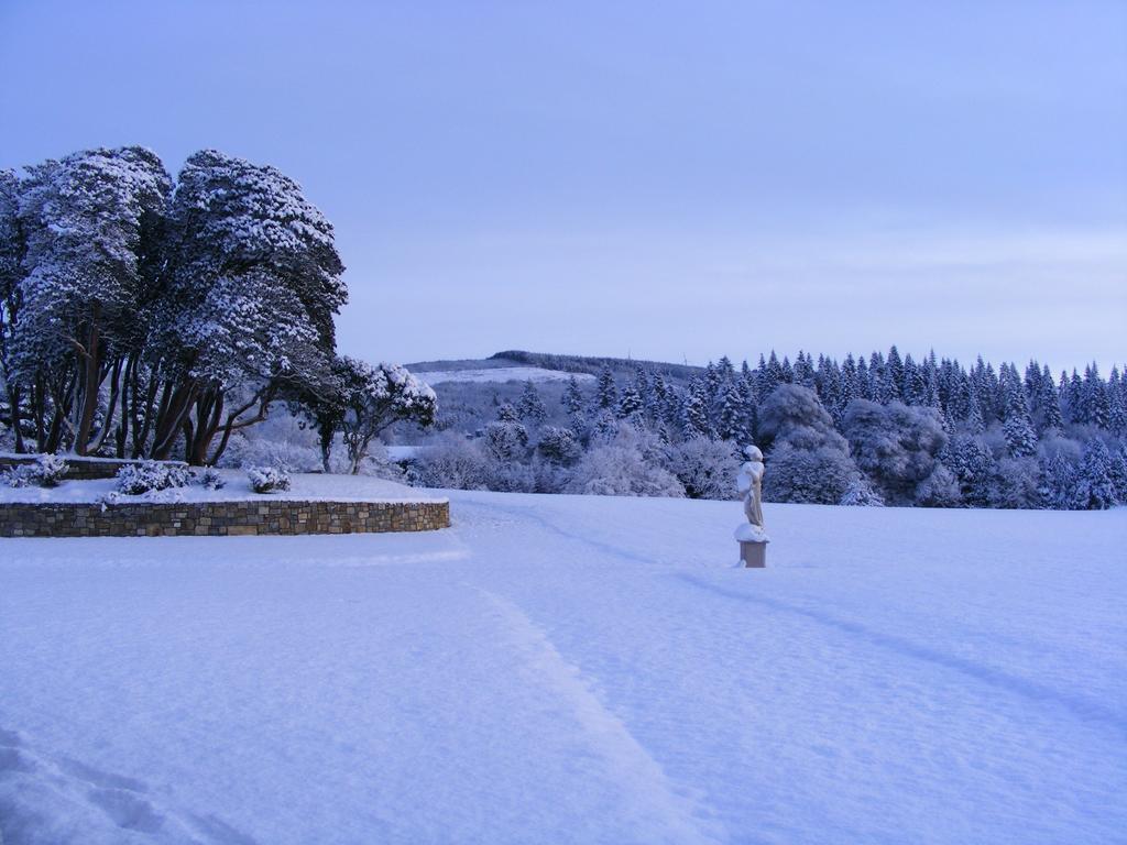 Kilronan Castle Hotel & Spa Ballyfarnon Exterior photo